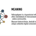 understanding vellozgalgoen